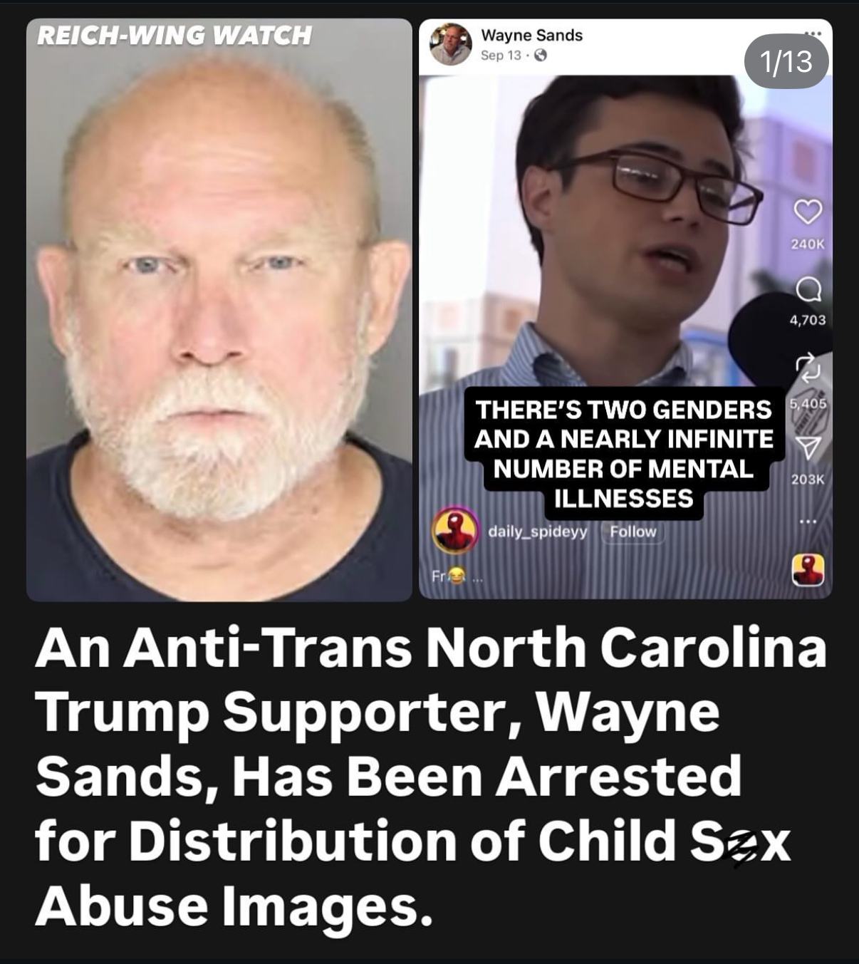 Wayne Sands, Trump supporter